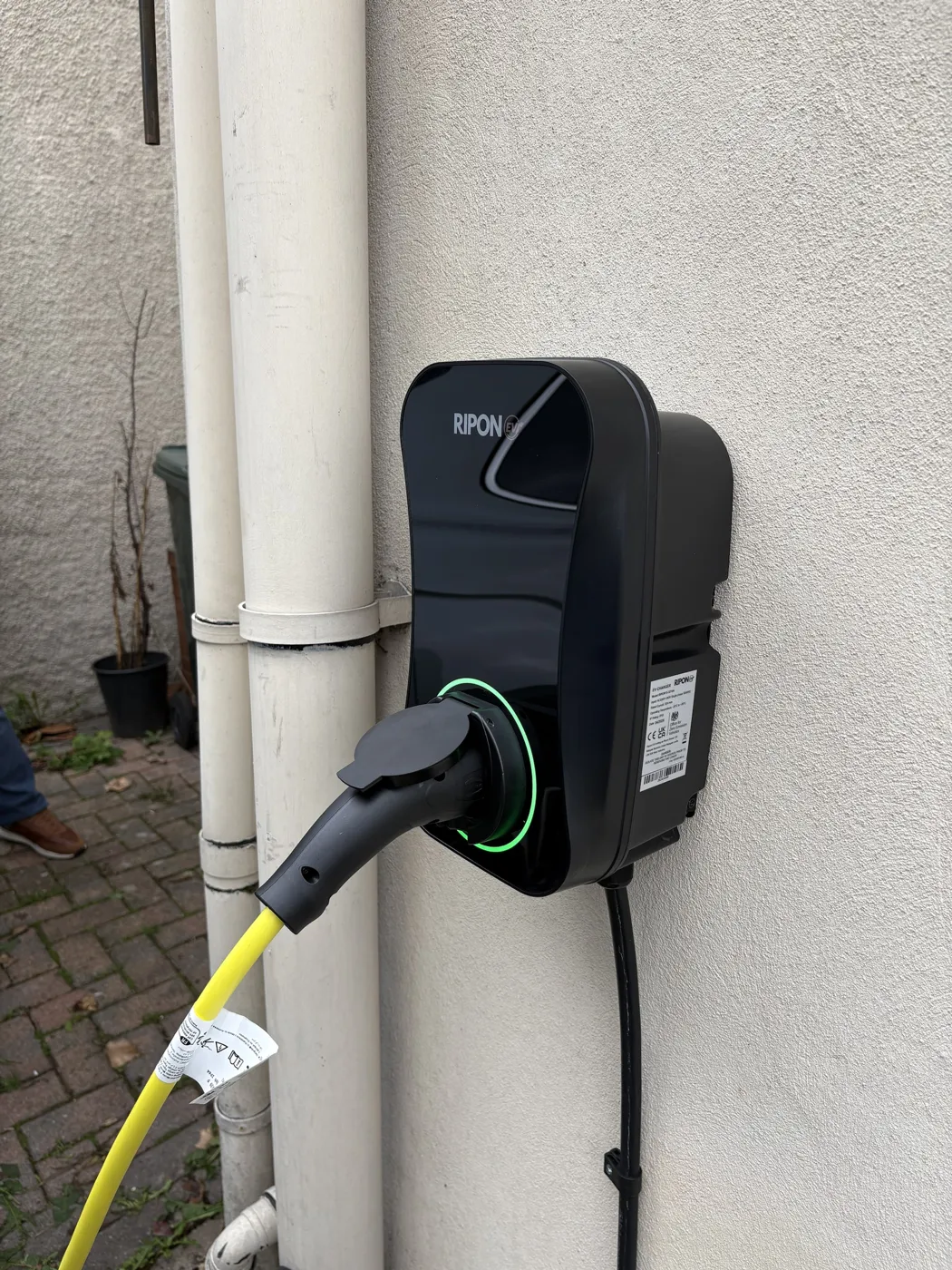 RiponEV charger on a rendered wall beside downpipes, plugged in with the green ring lit