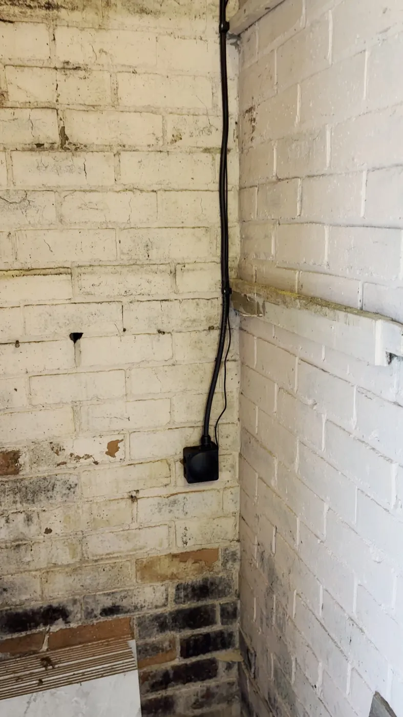 Supply cable run down a whitewashed cellar wall to a connection box